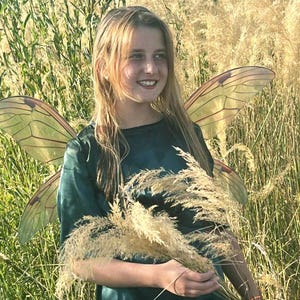 Transparent Fairy Wings: Purple, Red, Green - Adult & Child
