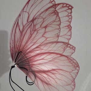 May include: A translucent, pink butterfly wing with delicate vein detailing. The wing is a soft pink color with darker pink outlines and veins. Black wire extends from the base of the wing. The wing is set against a white background.