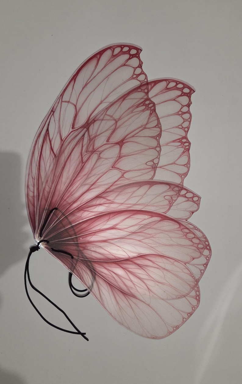 May include: A translucent, pink butterfly wing with delicate vein detailing. The wing is a soft pink color with darker pink outlines and veins. Black wire extends from the base of the wing. The wing is set against a white background.