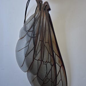 May include: A pair of large, translucent insect wings with a detailed vein structure and a speckled pattern. The wings are held by a black cord, suggesting they are a decorative item or costume accessory.