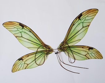 Green Fairy Wings:realistic high-quality printing of the drawing, Lightweight Plastic, Adjustable Straps, Photo Prop