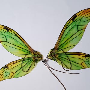 Puede incluir: Un par de alas de mariposa verdes y amarillas con venas negras. Las alas están unidas entre sí con un cordón negro.
