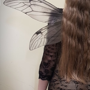 Puede incluir: Una persona con un vestido de encaje negro y un par de alas de insecto grandes y transl&uacute;cidas unidas a su espalda.