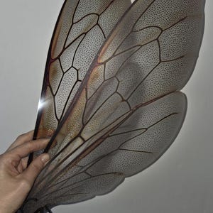 May include: A pair of large, translucent insect wings with intricate vein patterns and a speckled texture. The wings are primarily gray with brown and gold accents, and are held by a hand.