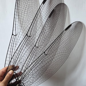 Dragonfly Fairy Wings, Black Dragonfly Costume Wings, Insect Fairy Wings, Halloween Cosplay Wings, Fantasy Costume Accessory, Festival Outfi
