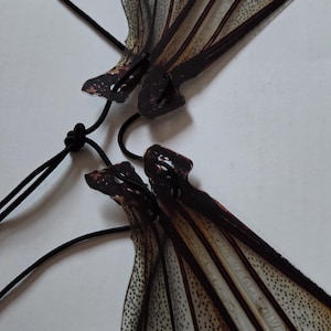 May include: Close-up of two insect wing pendants with black cords. The wings are translucent with brown veins and speckled patterns. The pendants are connected by a black cord tied in a knot, suggesting a necklace or jewelry.