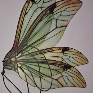 May include: A pair of insect-like wings featuring a translucent pale green membrane with dark brown veining and amber-toned tips. The wings are connected at a central base with dark wire accents extending from the attachment point.