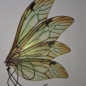 Green colored  fairy wings:realistic high-quality printing of the drawing, Lightweight Plastic, Adjustable Straps, Photo Prop