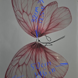May include: A pair of decorative butterfly wings, featuring a delicate, translucent design in shades of pink and white. The wings measure approximately 12.5 inches wide and 19.6 inches long. The wings are connected by a black wire.