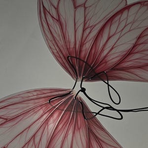 May include: Close-up of a butterfly with translucent wings. The wings are a soft pink with intricate vein patterns in a darker shade of pink. Black wire connects the wings, creating a delicate and artistic design.