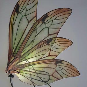 May include: A set of three translucent butterfly wings with a light green and brown color scheme. The wings are connected by a black cord and are displayed against a white background. The wings have detailed vein patterns.