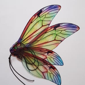 colored purple red green fairy wings for a girl or for an adult
