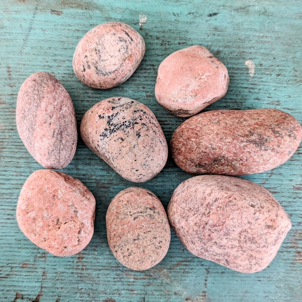 Pink Beach Stones - Large - Lake Erie - Aquarium - Terrarium - Beach Decor - Lot of 8