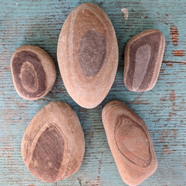 Lake Erie Rocks - Rare - Unusual Banding - Paperweights - Aquarium - Terrarium - Beach Decor - Set of 5