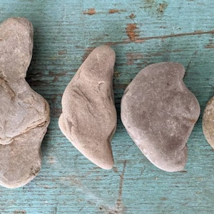 Lake Erie Crescent Beach Rocks: Man in the Moon Stones, Set of 7