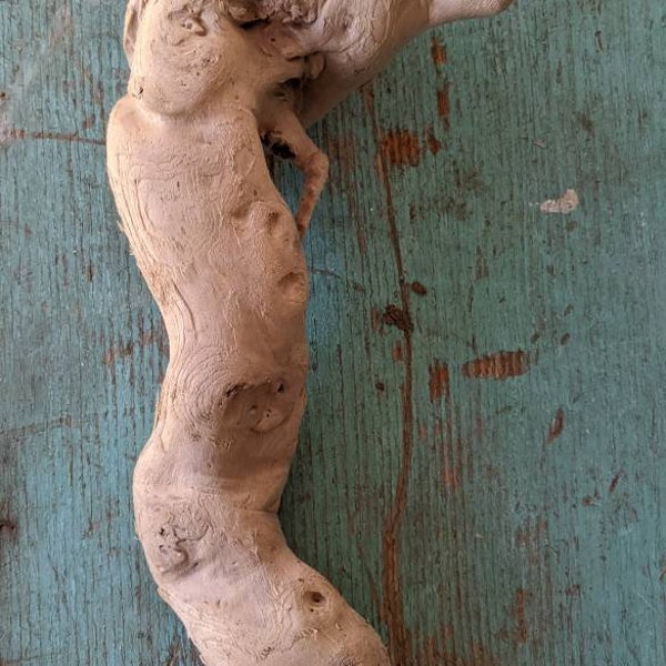 Lake Erie driftwood branch, unique driftwood piece