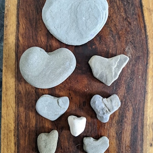 Heart Shaped Beach Rocks - Lake Erie - Set of 8