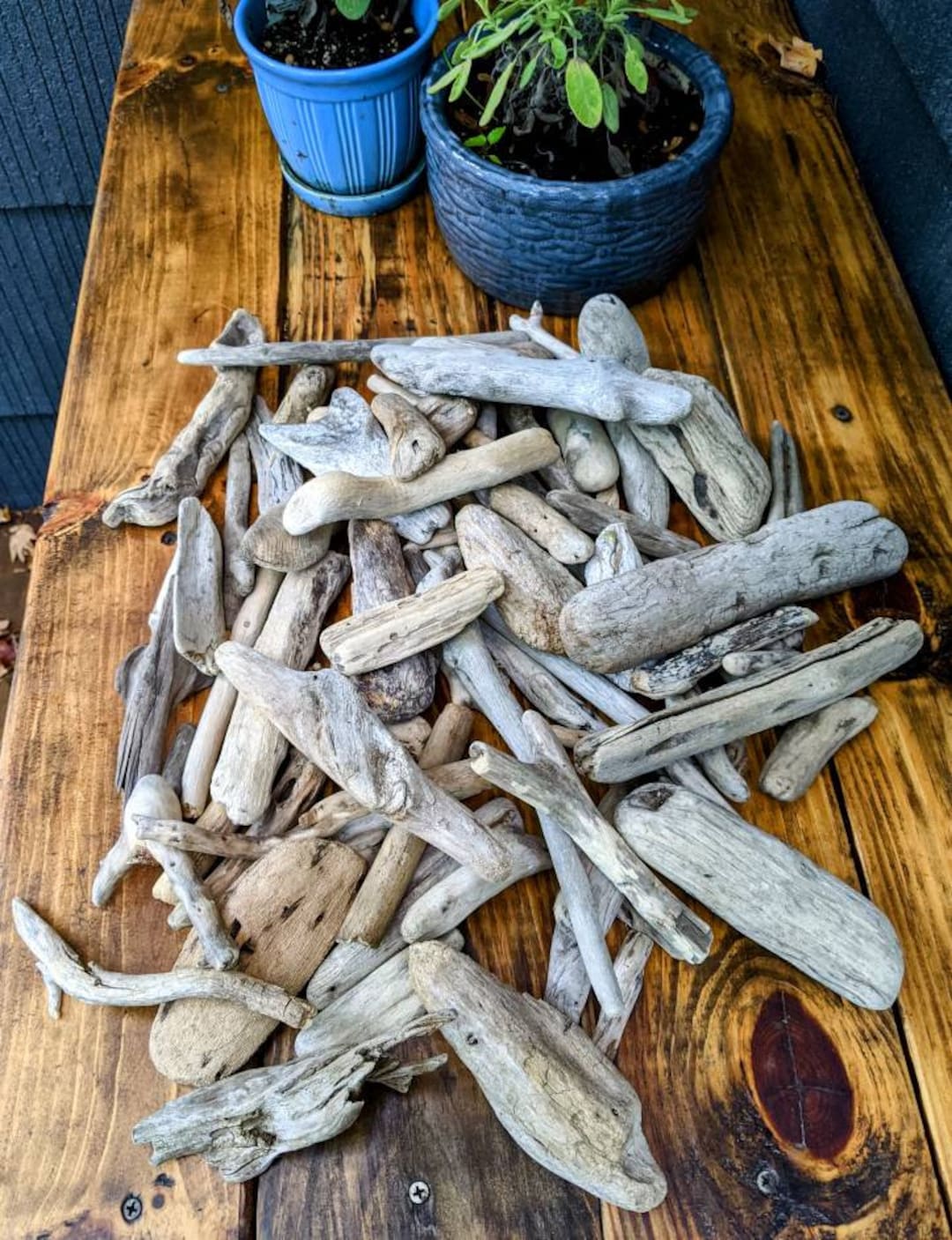 Driftwood Pieces Bulk Driftwood Lake Erie Driftwood Lot of Etsy