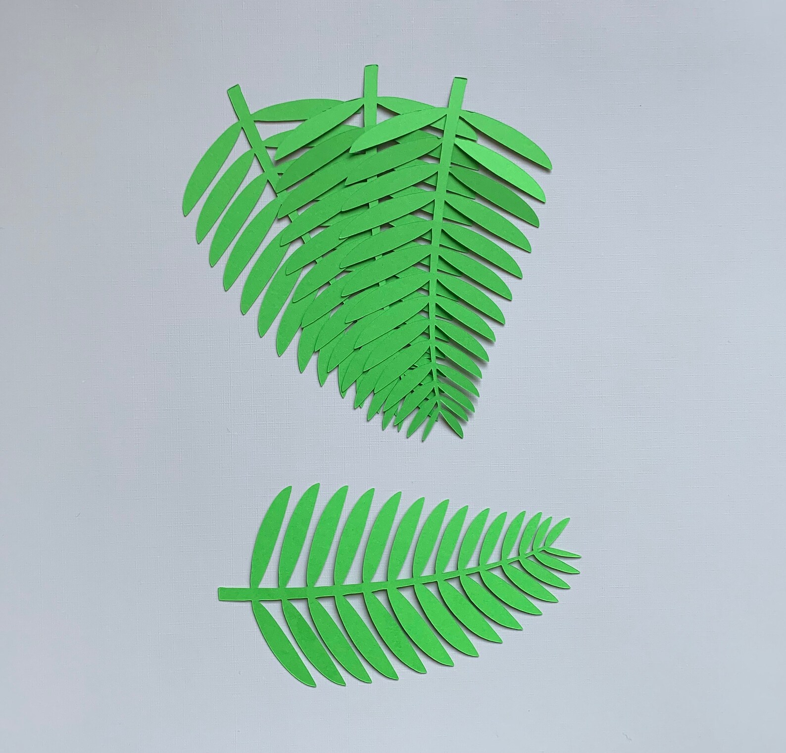 Tropical Palm Leaves Cut out Leaves Pre Cut Palm Leaf Etsy