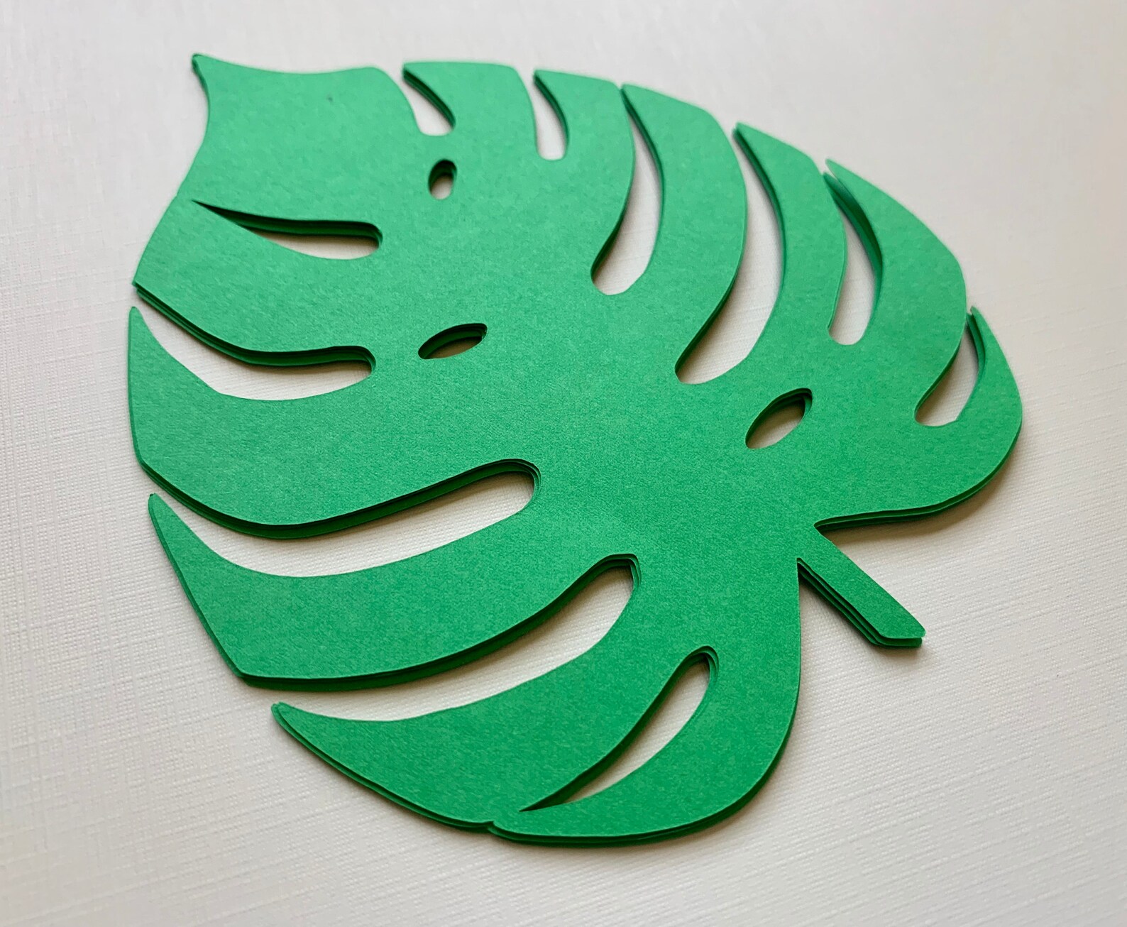 Large Tropical Palm Leaves Cut out Leaves Pre Cut Palm Leaf Etsy