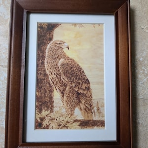 May include: A wood-burned art piece featuring a detailed eagle perched on a tree branch, framed in a dark brown wooden frame with a white mat. The artwork displays intricate shading and textures of the eagle's feathers and the surrounding tree.