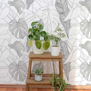 Carta da parati con foglie di Monstera, murale a buccia e bastone, murale in bianco e nero, carta da parati rimovibile, decorazioni per la casa