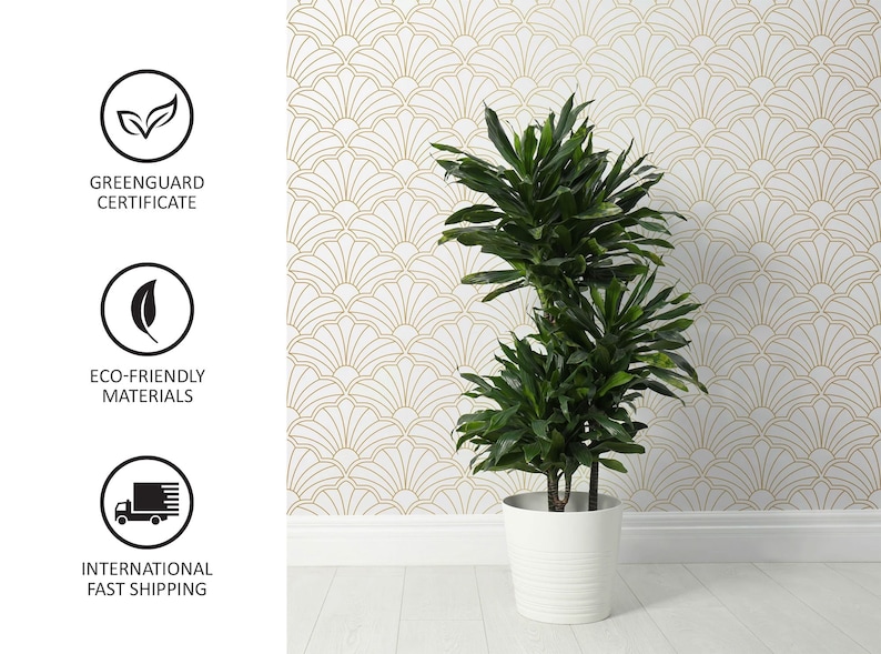 Op de afbeelding: Een groene plant in een pot met meerdere stengels en bladeren in een witte pot tegen een witte muur met een gouden geometrisch patroon. De plant staat in een witte pot met een textuur.