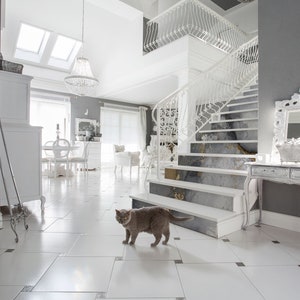 Puede incluir: Un gato gris camina sobre un suelo de baldosas blancas en una habitaci&oacute;n grande, blanca y gris con una escalera blanca y una l&aacute;mpara de ara&ntilde;a blanca.