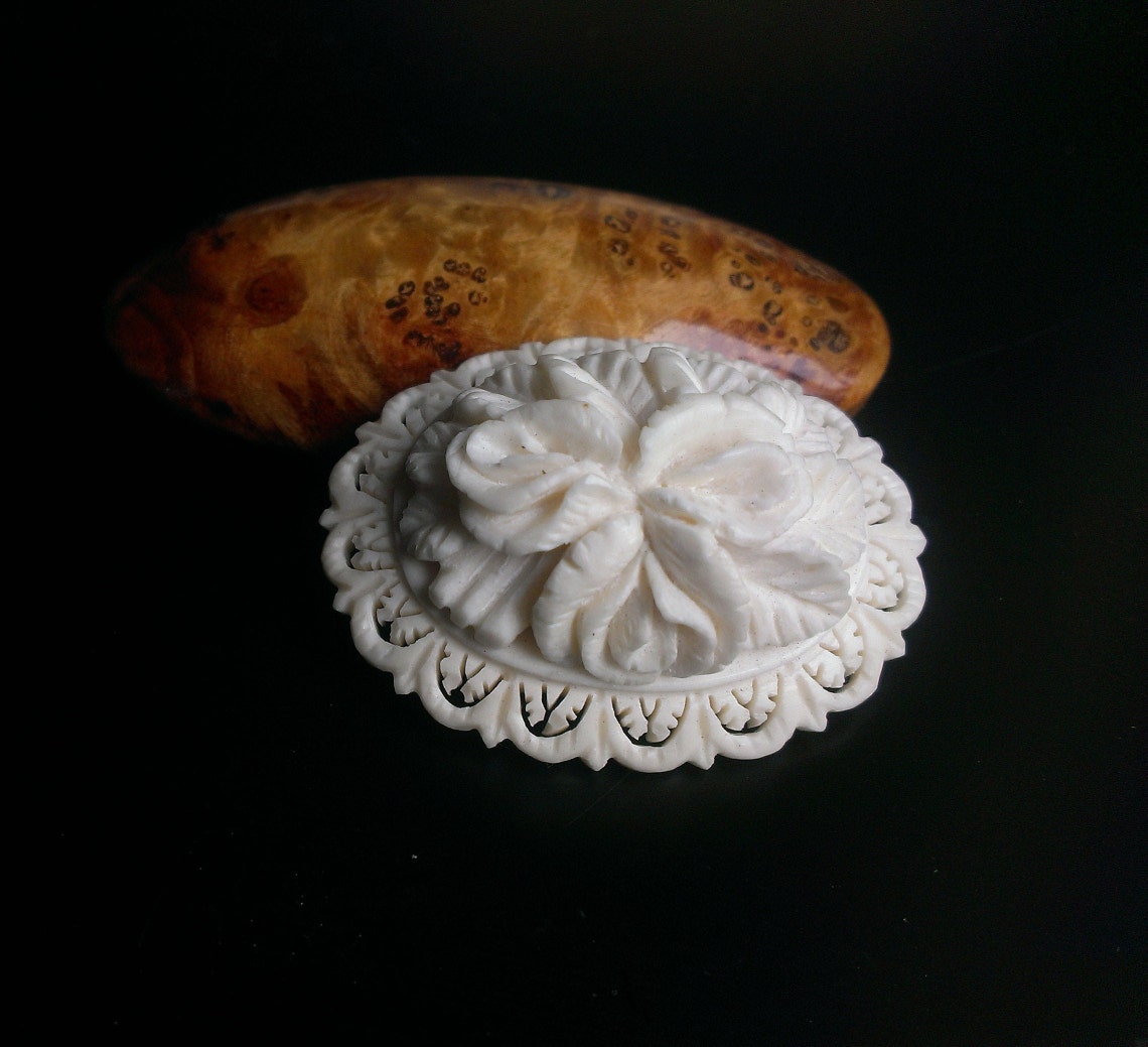 Brooch Bone Definition at Tammy Kim blog