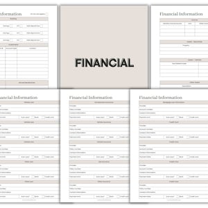 May include: A printable financial planner with sections for banking, investments, income, assets, vehicles, other debts, vehicle loans, home insurance, life insurance, and credit cards.
