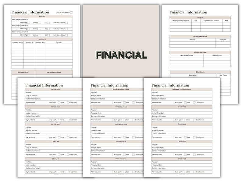 May include: A printable financial planner with sections for banking, investments, income, assets, vehicles, other debts, vehicle loans, home insurance, life insurance, and credit cards.