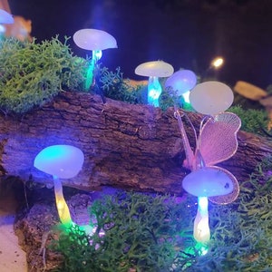 Colorful mushroom light