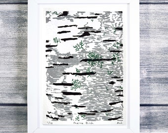 Silkscreen birch print, hand printed serigraph, art print silkscreen home decor for living room, bathroom, bedroom, entryway