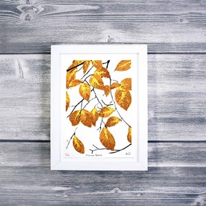 May include: A framed print of a stylized illustration of a branch with yellow leaves. The print is titled "Maine Beech" and is signed "A.D."