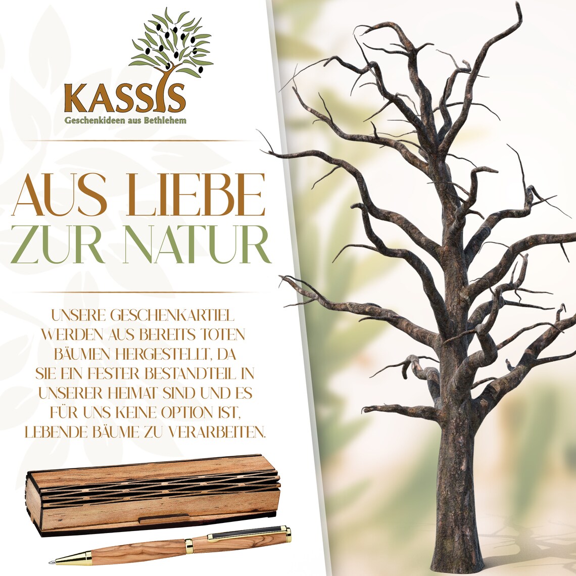 Olive Wood Ballpoint Pen in Wooden Box Gift Idea for Birthday