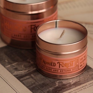 HAUNTED FOREST Candle | Cedar bark, Autumn spice, Vegan Candle, Folk candle, Dark candle, 100 ml | 250ml | 9oz | 4oz