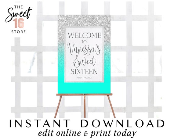 Silver and Pink Welcome Sign Sweet Sixteen Welcome Sign Landscape Sweet 16 Birthday Welcome Sign W838