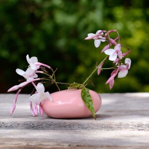 May include: A pink ceramic vase with a single sprig of white jasmine flowers. The vase is shaped like a rounded rectangle and has a smooth, glossy finish.