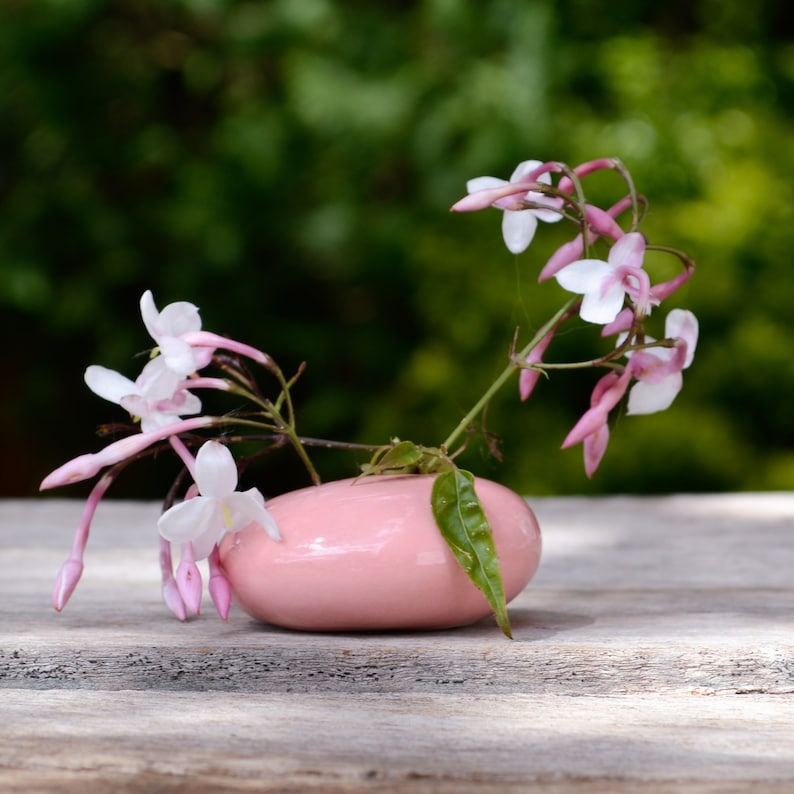 May include: A pink ceramic vase with a single sprig of white jasmine flowers. The vase is shaped like a rounded rectangle and has a smooth, glossy finish.