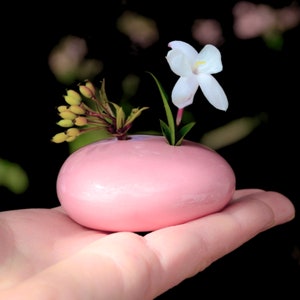 May include: A small, pink, oval-shaped ceramic vase with a single white flower and green leaves.