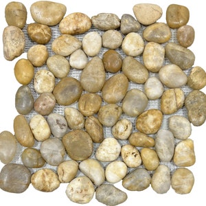 Amber 12&quot;x12&quot; Pebble Natural Stone Polished Mosaic Tile
