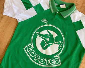 Les maillots des champions de France depuis 1969