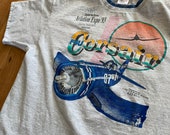 Greater Des Moines Aviation Expo 93 39 Vintage T-shirt Airplane Striking Back Iowa Blue Grey Anvil XL Plane Convention Promo Shirt Rare