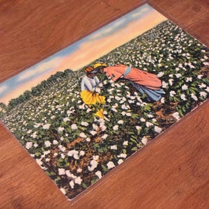以下が含まれることがあります： 綿花畑にいる2人の人物を描いたヴィンテージポストカード。黄色とオレンジ色のドレスなど、カラフルな服を着ています。綿花畑は、夕焼け空の下、白い綿花でいっぱいです。