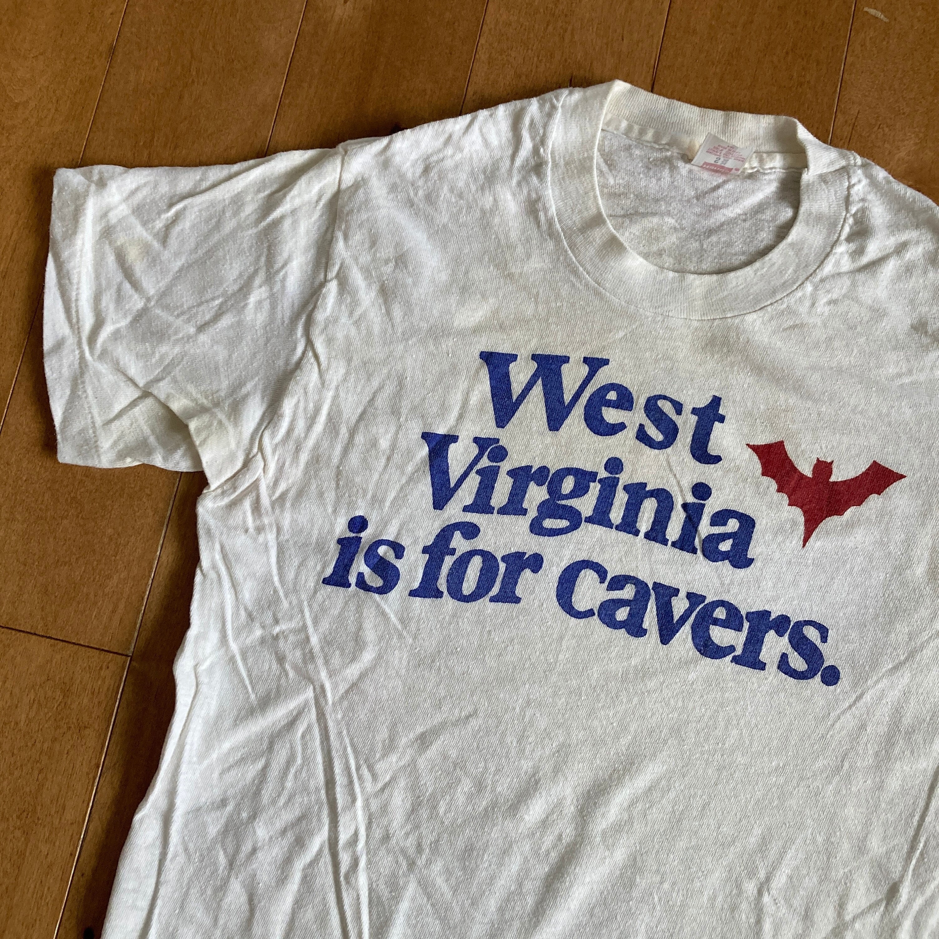 1960s West Virginia is for Cavers T-shirt Vintage Hanes Made in