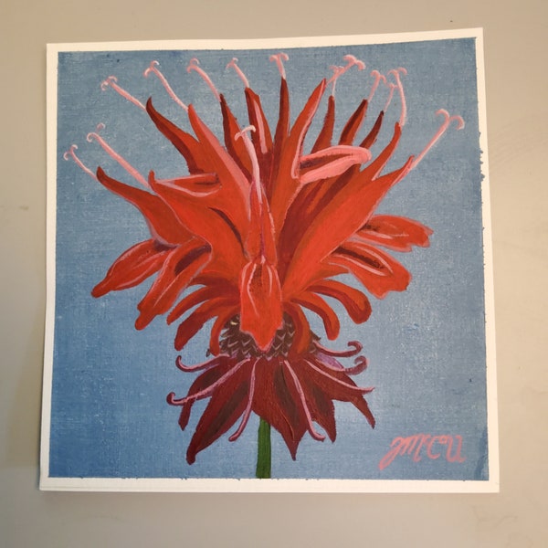 Painting BEE BALM - Arte original de Jill McColl de la serie 'Plants With Animal Names'