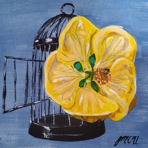 ABUTILON &#39;CANARY BIRD&#39; - Original art by Jill McColl from the series ‘Plants With Animal Names’