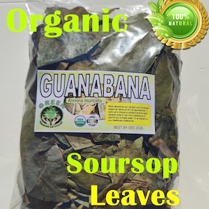Hojas de Guanabana Tea Grade Graviola Soursop Leaves 2oz Annona muricata Leaf