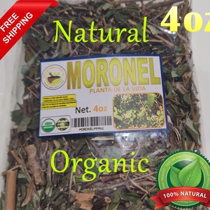 May include: A clear plastic bag filled with dried green leaves and twigs. The bag has a label that reads "Natural 4oz Moronel Planta de la Vida Net. 4oz USDA Organic 100% Moronel-MH4oz Organic 100% Natural".