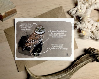 Burrowing owl - POSTCARD Limited Edition
